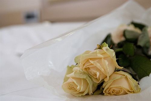 Hotel Astoria  | Biella | Biella | Italia 18