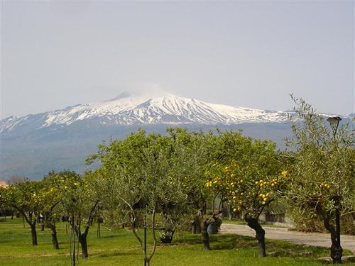 Hotel Holiday Club Naxos  | Giardini Naxos | Messina | Italia 14