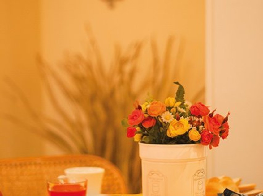 Hotel Novecento  | Roma | Roma | Italia 2