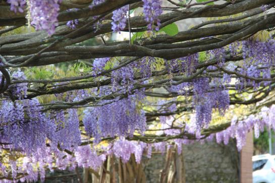 Hotel Fonte Cesia  | Todi | Perugia | Italia 9