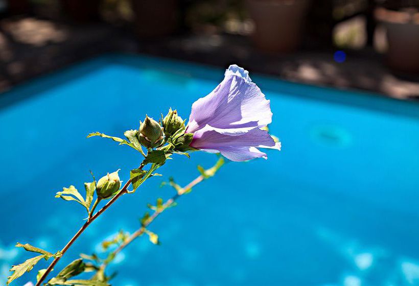 Hotel Villa Bellavista  | Praiano | Salerno | Italia 20