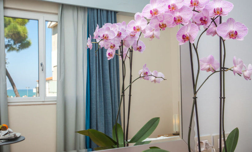 Park Hotel Alcione  | Francavilla al Mare | Chieti | Italia 14