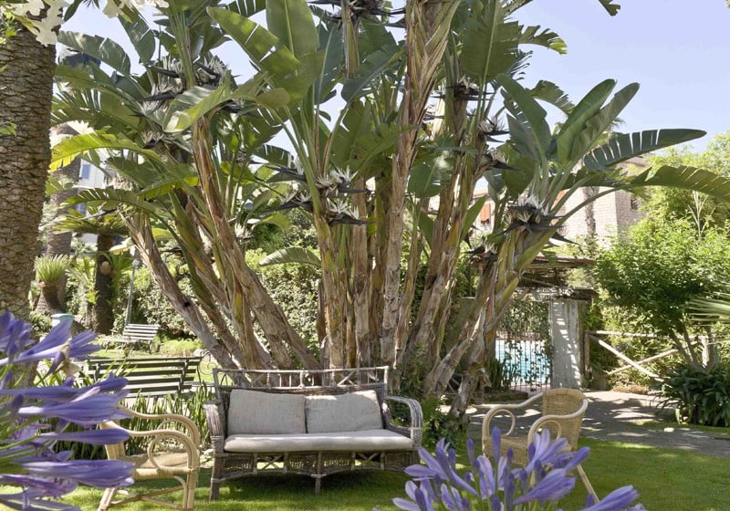 Hotel Eden  | Sorrento | Napoli | Italia 6