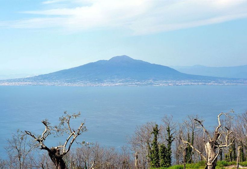 Hotel Oasi Olimpia Relais  | Sorrento | Napoli | Italia 10