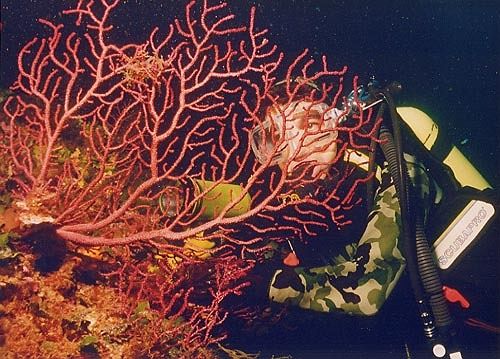 Hotel Costazzurra  | San Leone | Agrigent | Italien 13