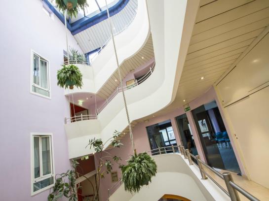 Hôtel Sirena  | Cesenatico | Forli-Cesena | Italie 16