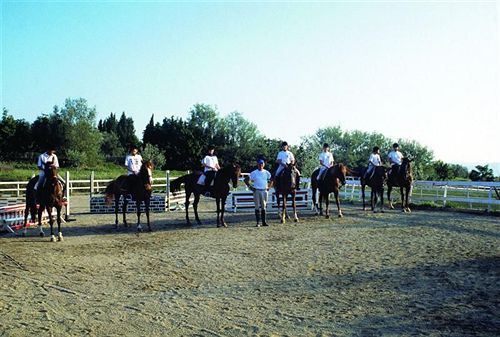 Fattoria Degli Usignoli  | Reggello | Florence | Italia 13