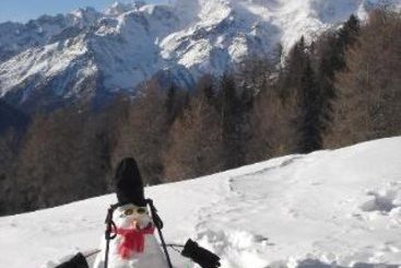 Hotel Ortles  | Cogolo di Pejo | Trento | Italia 2