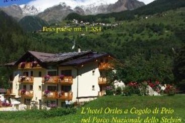 Hotel Ortles  | Cogolo di Pejo | Trento | Italia 6