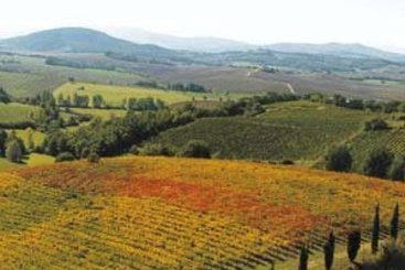 Hotel Sonesta Relais Residence Tuscany  | Montagnana | Padova | Italy 3