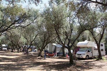 Hotel Villaggio Camping Dolomiti Sul Mare  | Briatico | Vibo Valentia | Italia 1