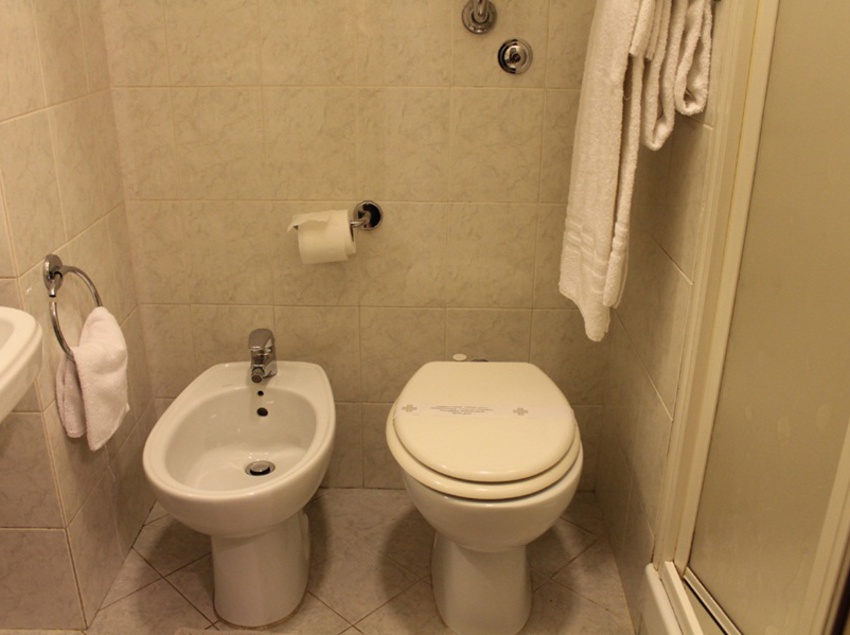 Hotel Fiori  | Roma | Roma | Italia 7