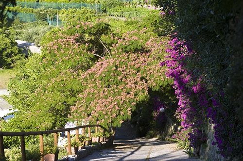 Hotel Poggio del Sole  | Ischia | Napoli | Italia 20
