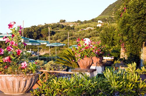 Hotel Poggio del Sole  | Ischia | Napoli | Italia 7