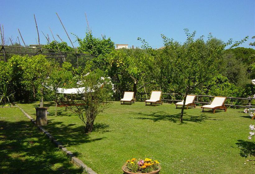 Bed and Breakfast Casale Antonietta  | Sorrento | Napoli | Italia 1