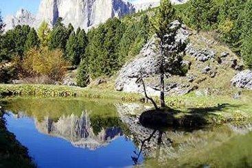 Hotel Cristallo  | Vigo di Fassa | Trento | Italia 3