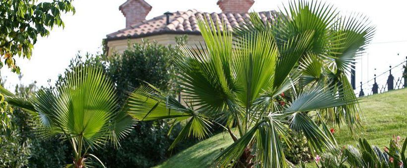 Hotel Villa Picena  | Colli del Tronto | Ascoli Piceno | Italia 6