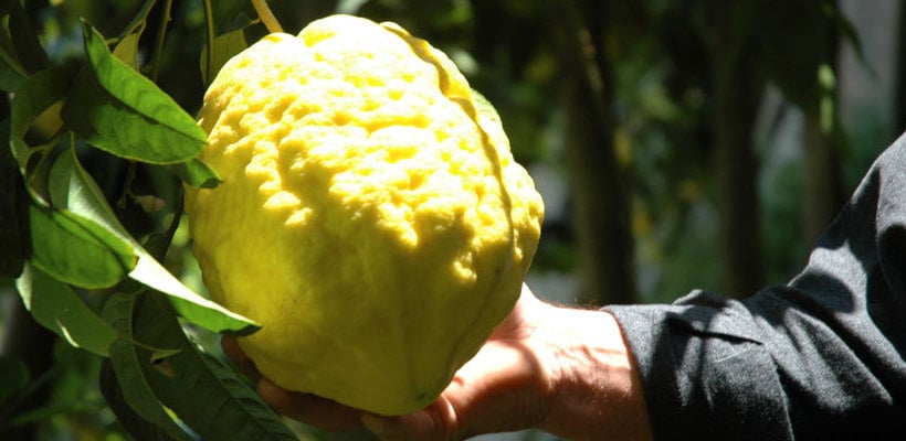 Hotel La Pergola  | Amalfi | Salerno | Italia 11