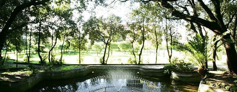 Hotel Miglio D'oro Park  | Ercolano | Napoli | Italia 3