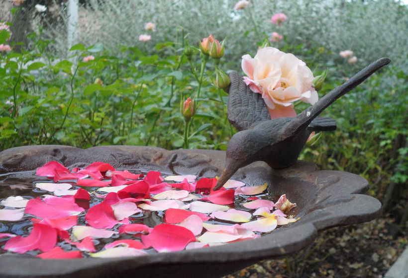 Hotel Villa Roncuzzi  | Russi | Ravenna | Italia 13