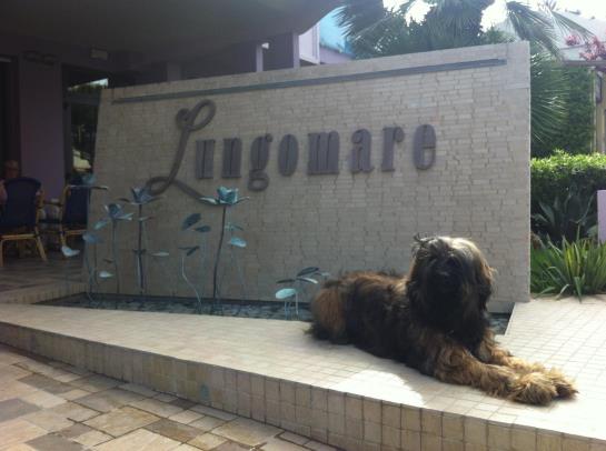 Hotel Lungomare  | Cesenatico | Forlì-Cesena | Italia 14