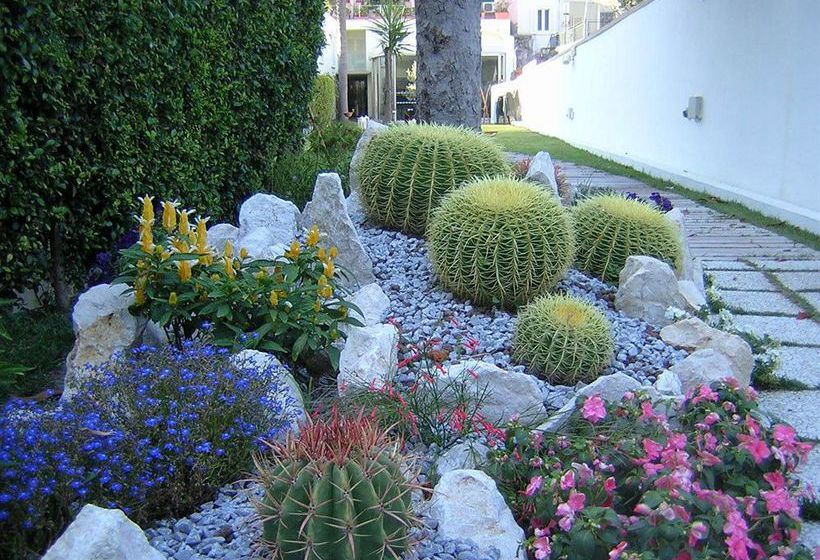 Hotel Marina 10  | Casamicciola Terme-Isole Ischia | Napoli | Italia 10