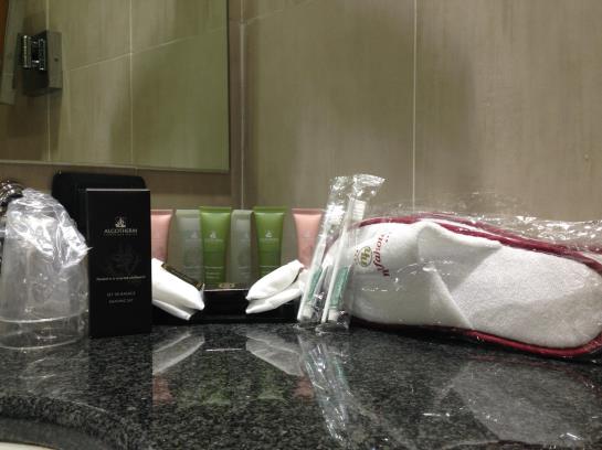 Hotel Ninfa  | Avigliana | Torino | Italia 10