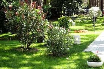 Hotel Eurovil Garni  | Lignano Pineta | Udine | Italia 16