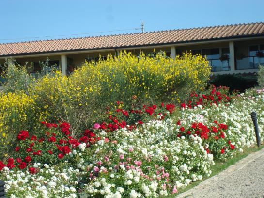 Relax Hotel Aquaviva  | Casole d'Elsa | Siena | Italia 13