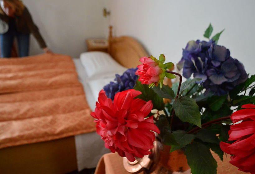 Hotel Montana  | Cortina d'Ampezzo | Belluno | Italia 16