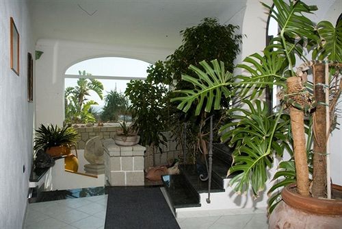 Hotel La Rosa  | Forio d'Ischia | Napoli | Italia 4