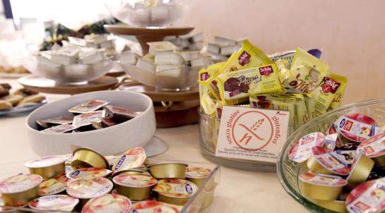 Hotel Executive  | Udine | Udine | Italy 5