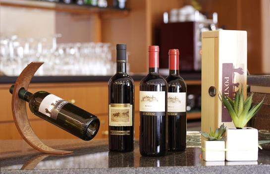 Hotel Executive  | Udine | Udine | Italy 9