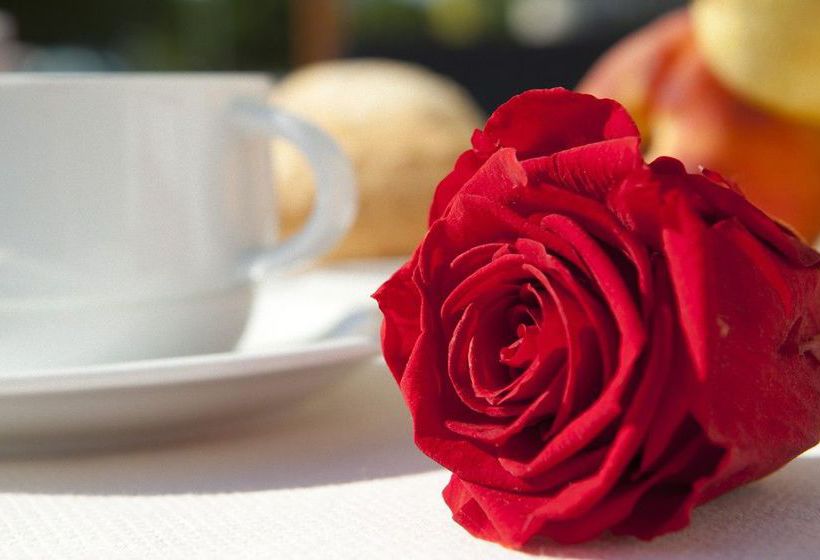 Hotel Falcone  | Lignano Sabbiadoro | Udine | Italia 19