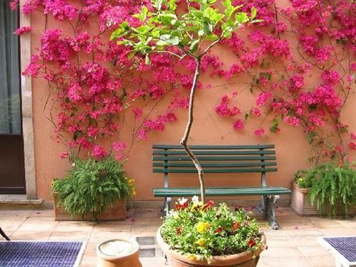 Hotel Villa Romeo  | Catania | Catania | Italia 5