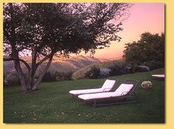 Hotel Locanda del Gallo  | Perugia | Perugia | Italia 3