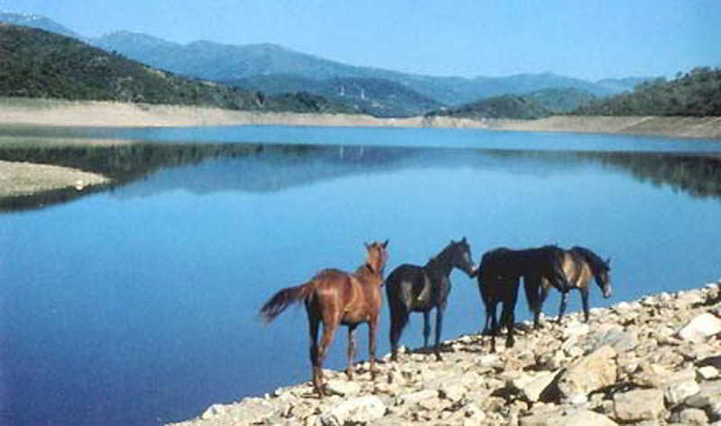 Hôtel Villa Selene  | Nuoro | Sardinia | Italie 5