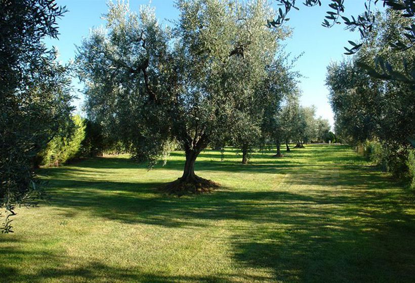 Hotel Giardino Degli Ulivi  | Margherita di Savoia | Barletta-Andria-Trani | Italia 2