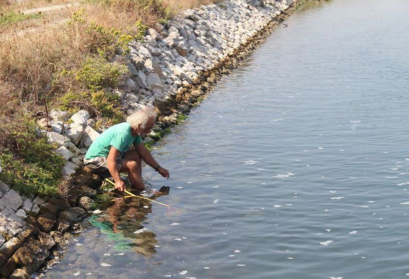 Hotel Giardino Degli Ulivi  | Margherita di Savoia | Barletta-Andria-Trani | Italia 7