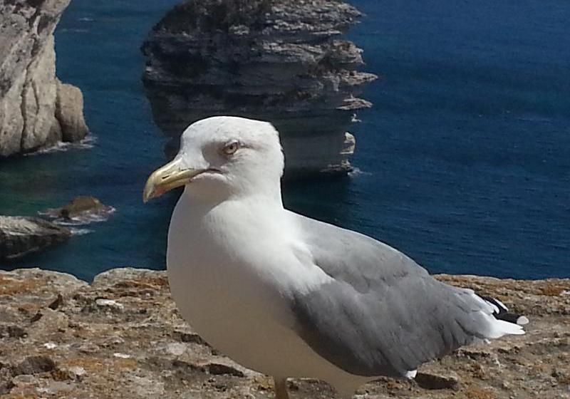 Hotel San Trano  | Luogo Santo | Sardegna | Italia 19