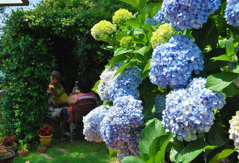 Hotel Nido Degli Dei  | Agerola | Napoles | Itália 14