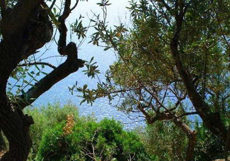 Hotel Baia Serena  | Vico Equense | Napoli | Italia 13