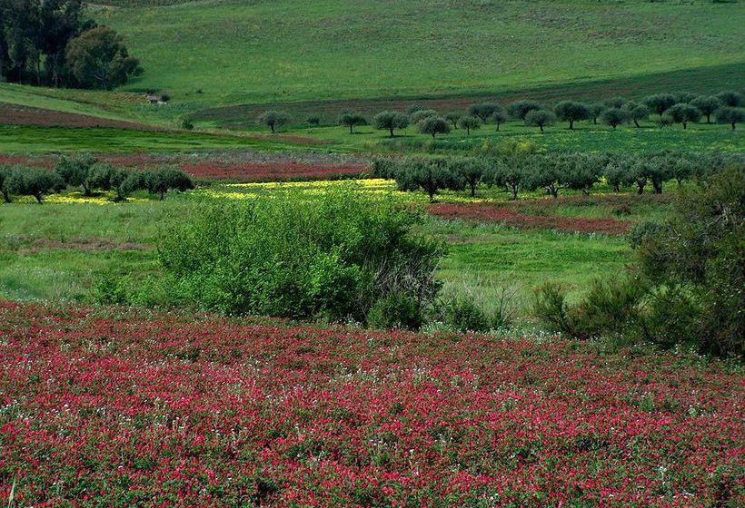 Hotel Ciuri Di Badia  | Buseto Palizzolo | Trapani | Italien 6