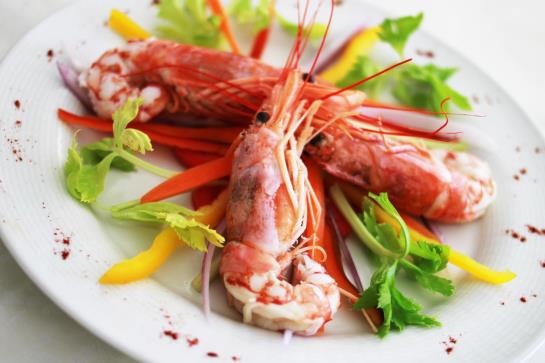 Hotel La Pigna  | Marina di Pietrasanta | Lucca | Italia 11