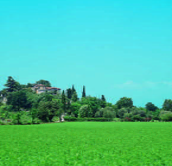 Hotel Castello Belvedere  | Desenzano del Garda | Brescia | Italia 6