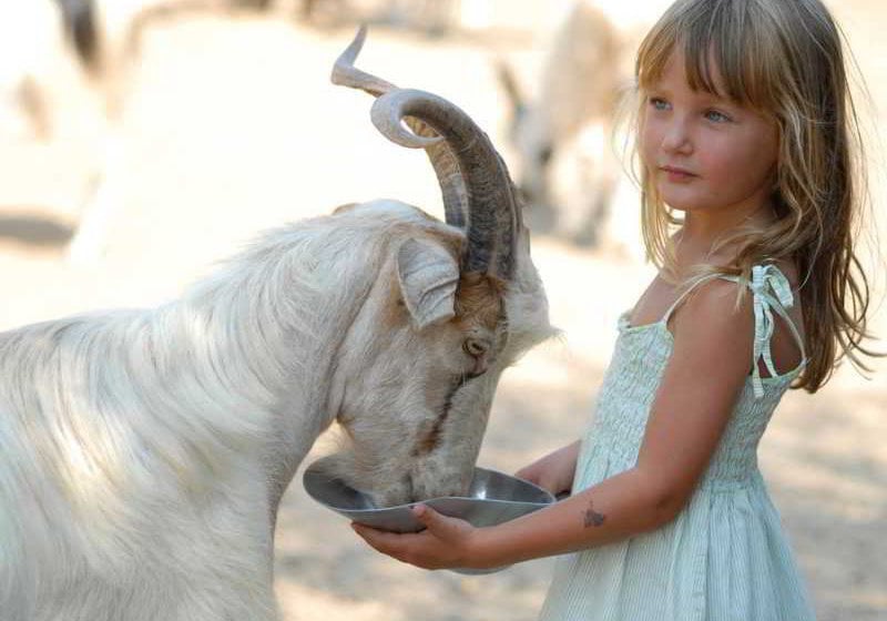 Arbatax Park Resort Telis  | Arbatax | Sardegna | Italia 10