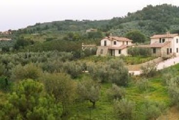La Macina Di Bettona  | Bettona | Perugia | Italia 2