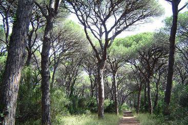 Apartamentos Principina A Mare  | Principina a Mare | Grosseto | Italy 2