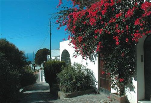 Hotel Senaria  | Anacapri - Isla de Capri | Napoli | Italia 11