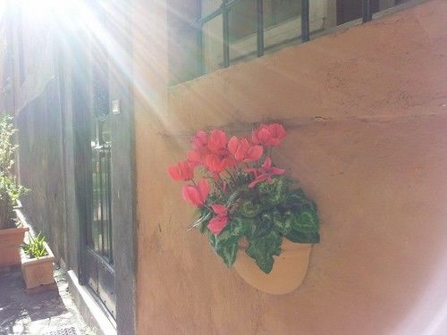 Hotel Domus Tiberina  | Roma | Roma | Italia 12